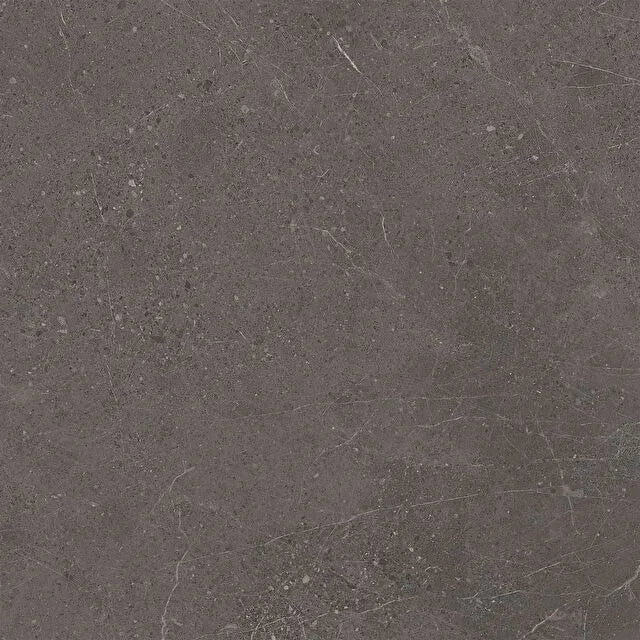 Meteorite